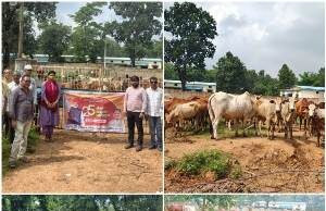 पशुधन विकास विभाग ने चलाए व्यापक अभियान