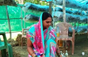 कम जगह और कम लागत में पैरा मशरूम उत्पादन से बढ़ेगी आमदनी