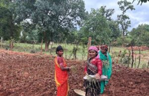लेमन ग्रास की खुशबू से महक रही आत्मनिर्भरता, जीपीएम की महिलाएं बढ़ रहीं ‘लखपति दीदी’ बनने की राह पर