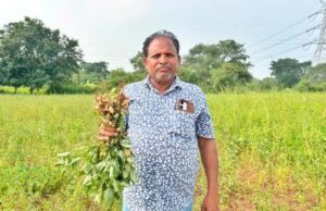 कृषक उन्नति योजना से प्रोत्साहित होकर किसान इंधर पटेल ने धान के बदले दो एकड़ में लगाई मूंगफली